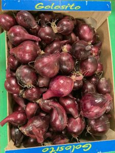 Oignon rouge - Vergers des Moncels - Producteur de fruits à Lagney