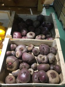 Betteraves - Vergers des Moncels - Producteur de fruits à Lagney